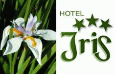 albergo iris di batelli s. e c. snc, alberghi chianciano terme (si)