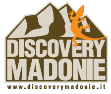 discovery madonie s.a.s. , autonoleggio castelbuono (pa)